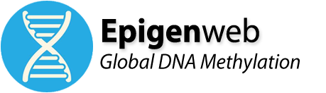 Epigenweb